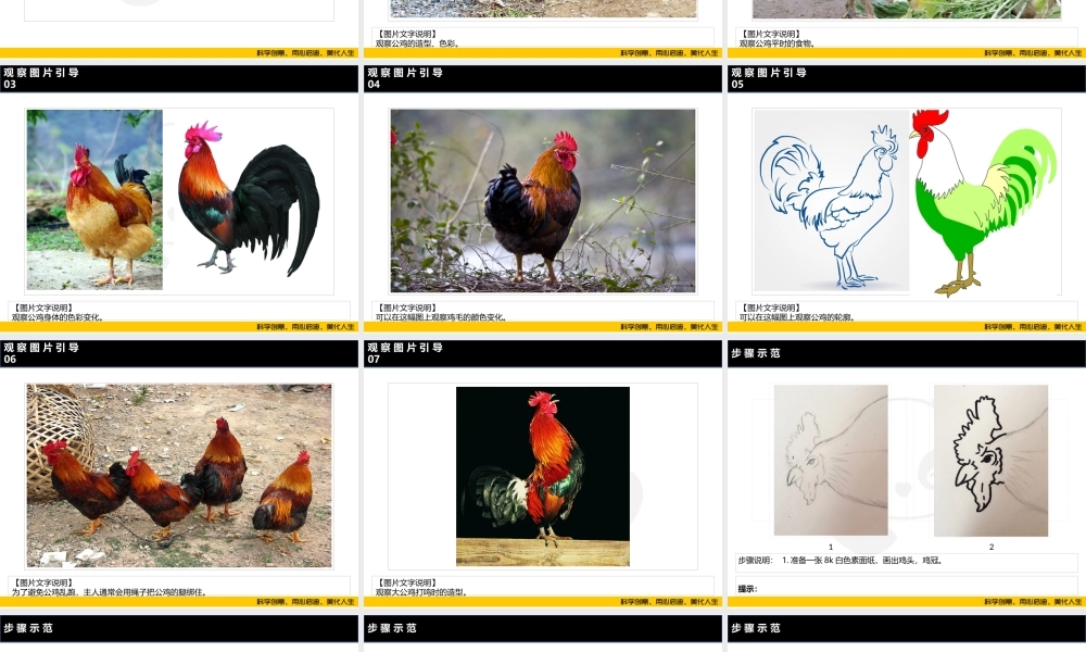 ART4《大公鸡》.PPT