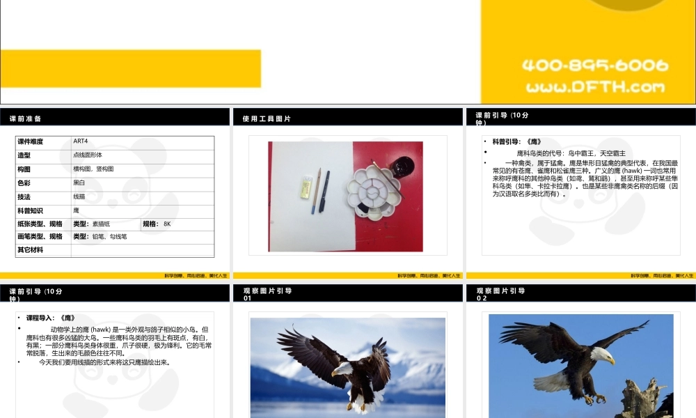 ART4《鹰》校对版.PPT