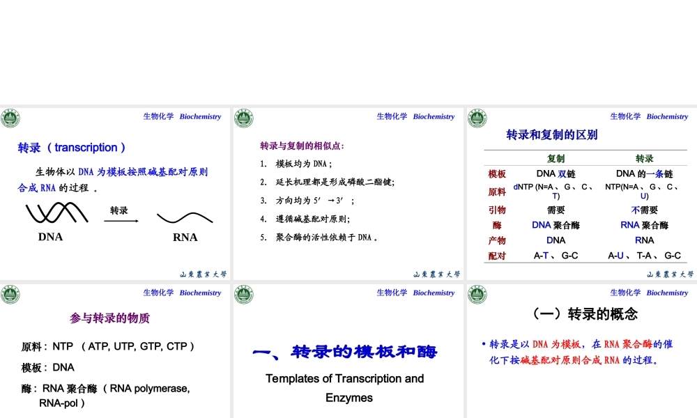 Chapter 11 RNA生物合成(1).ppt