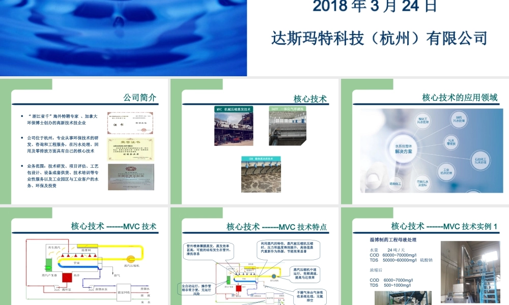 DMST介绍180324 (1).ppt