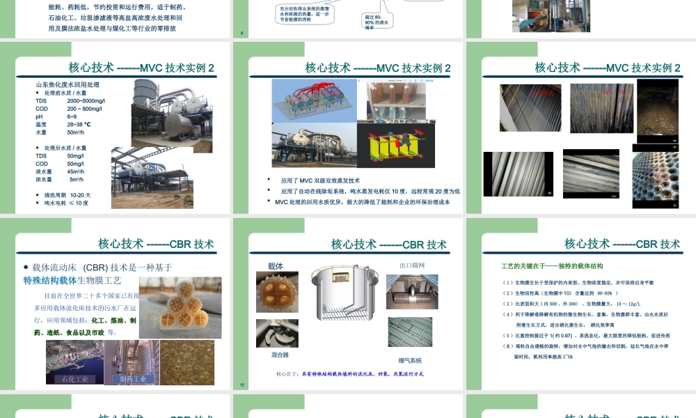 DMST介绍180324 (1).ppt