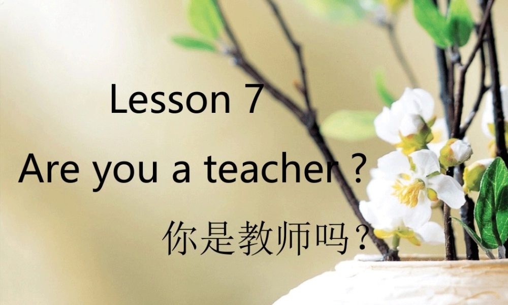 Lesson07-08（共33页）.ppt