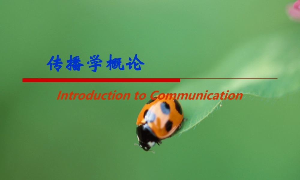 传播学概论7.ppt