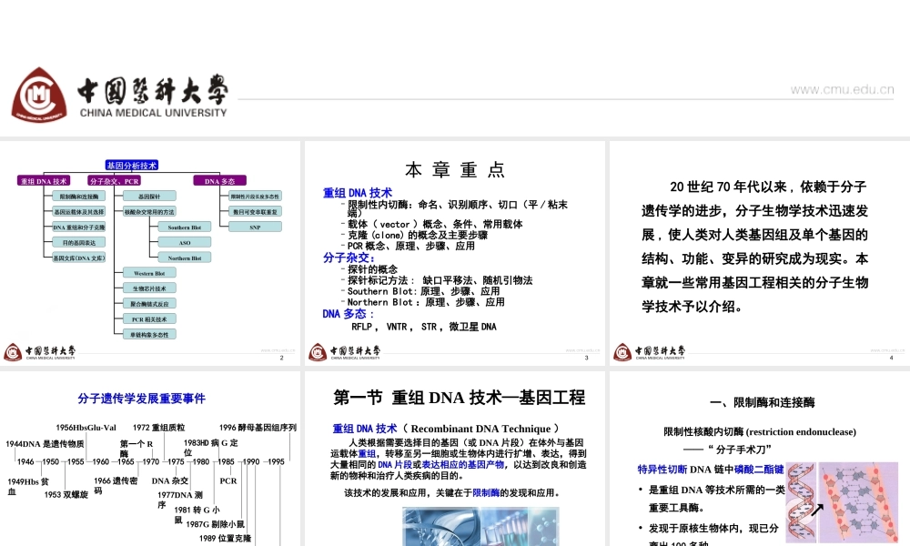 第9章 基因操作-4h.ppt