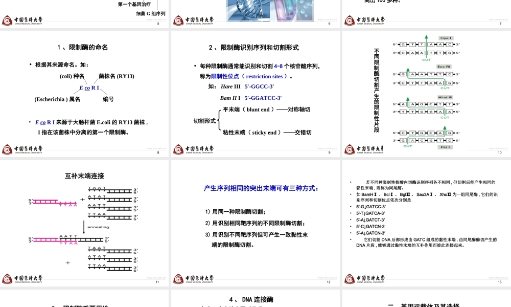 第9章 基因操作-4h.ppt