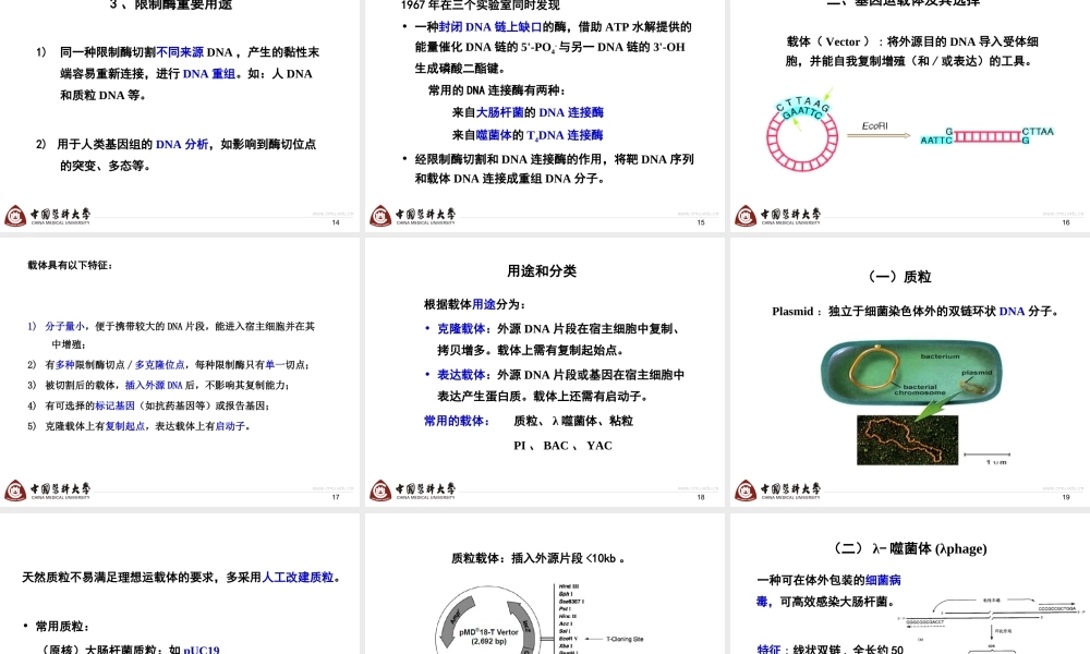 第9章 基因操作-4h.ppt