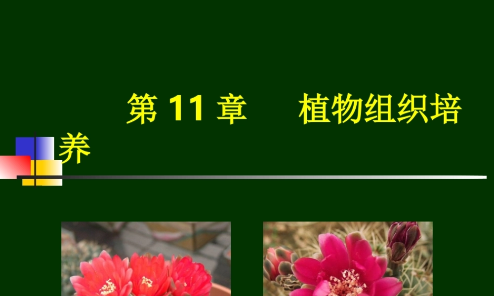 第11章植物组织培养(1).ppt