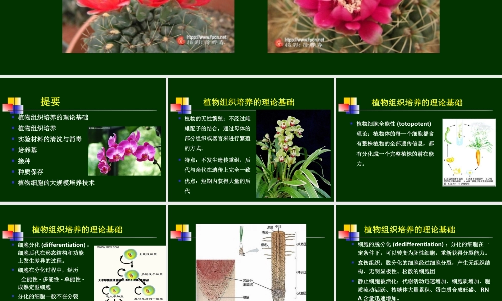 第11章植物组织培养(1).ppt