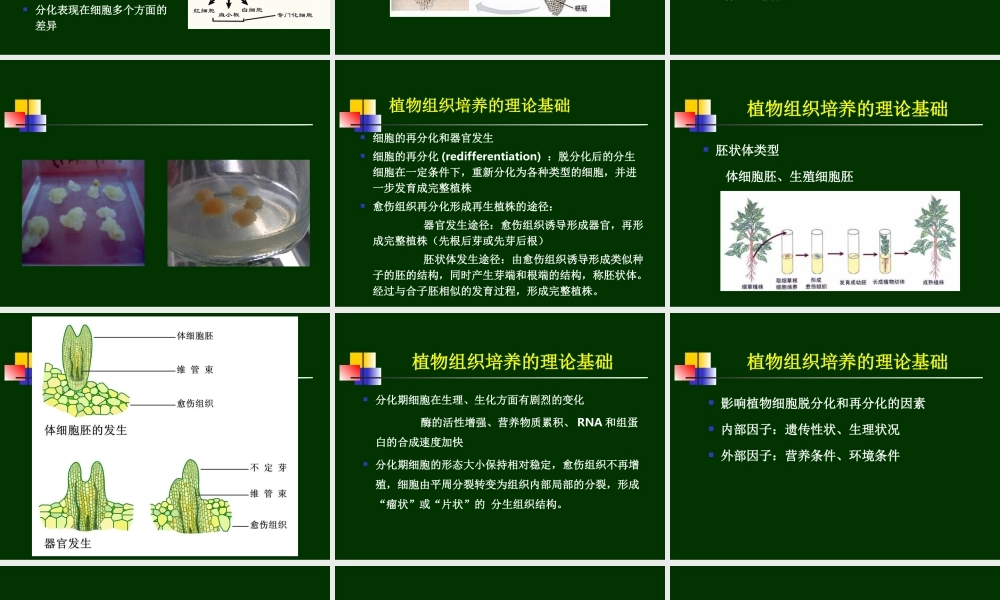 第11章植物组织培养(1).ppt