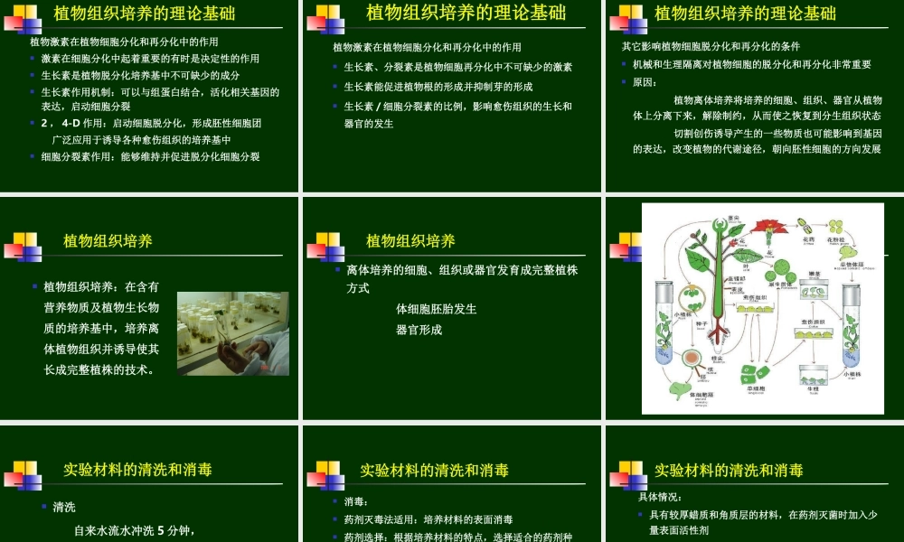 第11章植物组织培养(1).ppt