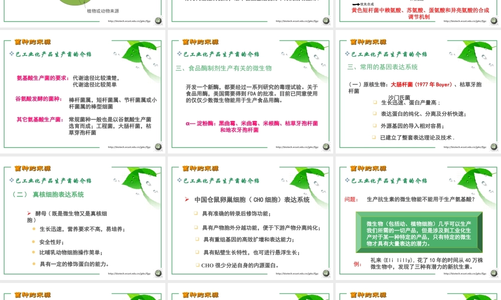 第二章 菌种的来源(2006).ppt