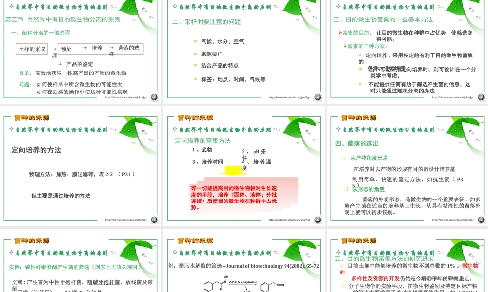 第二章 菌种的来源(2006).ppt