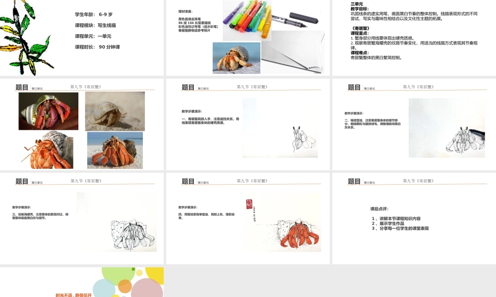 第九节：寄居蟹.pptx