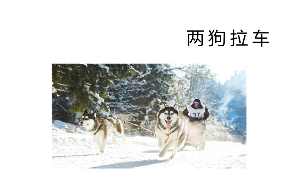 第十三课 两狗拉车_tmp.ppt