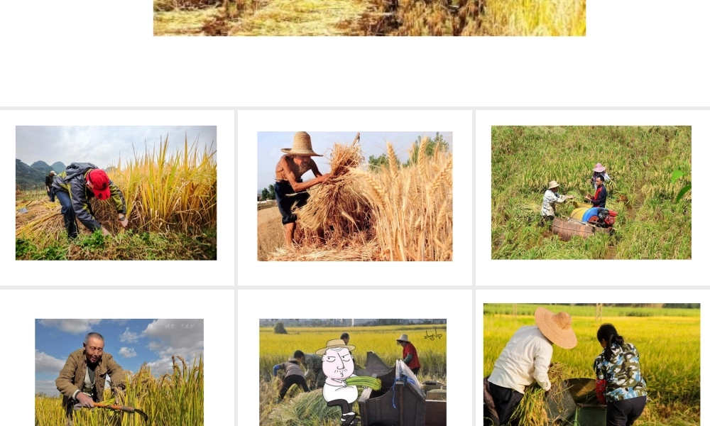 第十一课 收割机.ppt