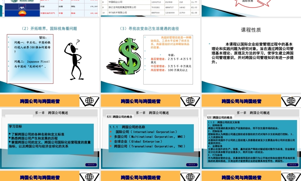 第一章 跨国公司概述.ppt