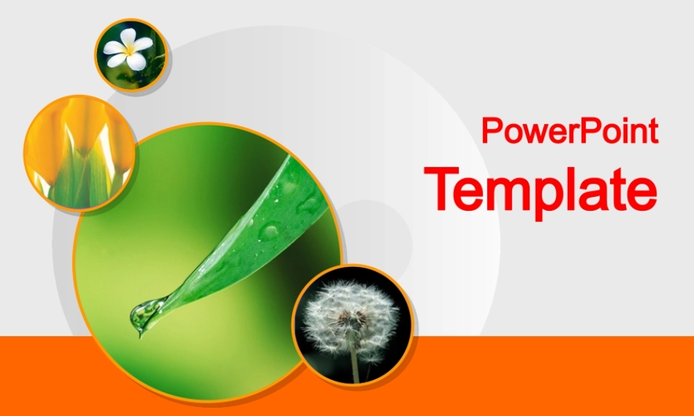 配色设计：沉稳积极.ppt