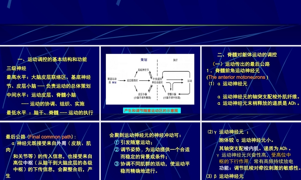 神经系统4.ppt