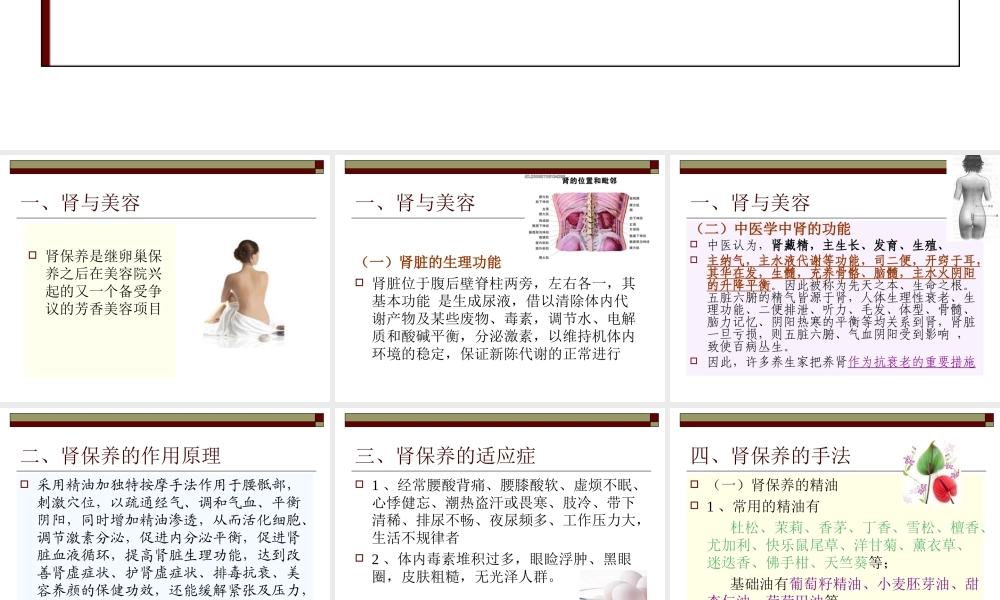 肾保养(4课时)22页.ppt