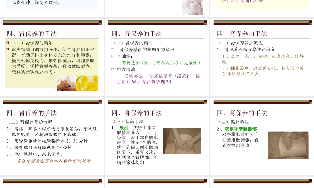 肾保养(4课时)22页.ppt