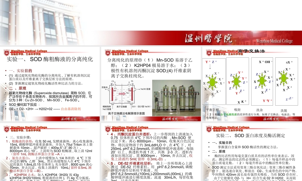 生化工程实验(1).ppt