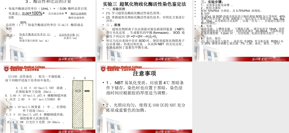 生化工程实验(1).ppt