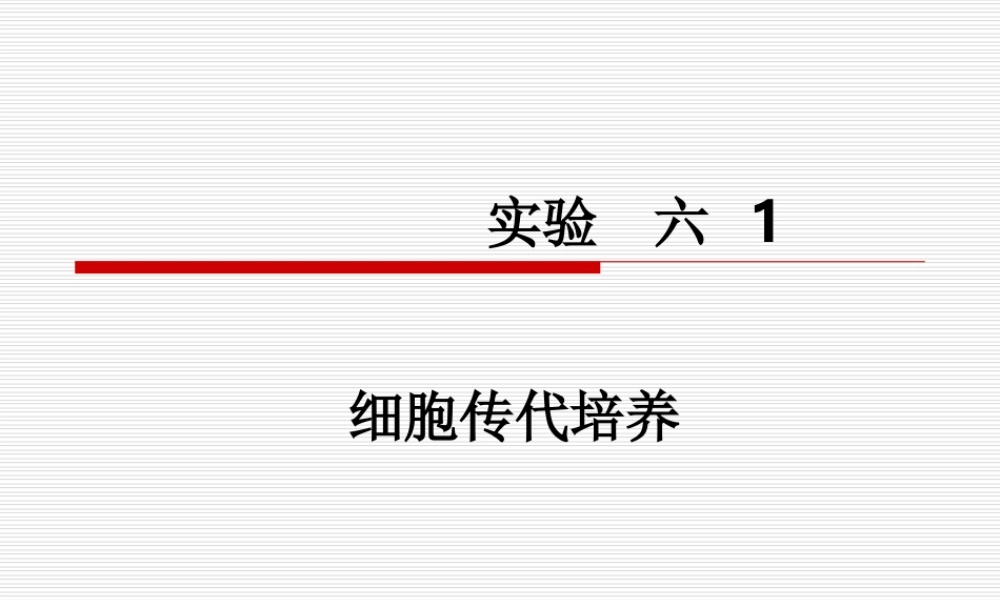 实验六 细胞传代培养(1).ppt