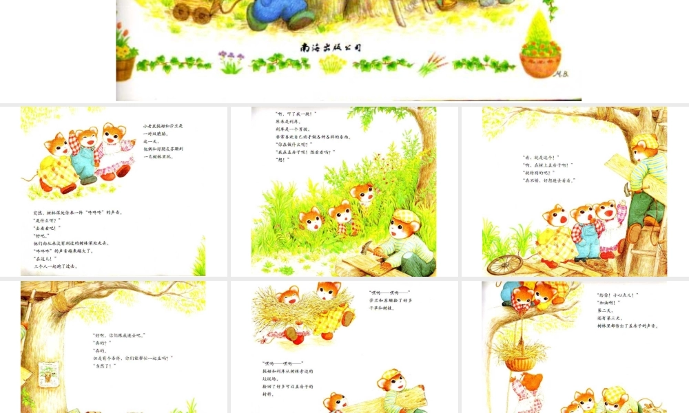 提姆与莎兰的小木屋.ppt