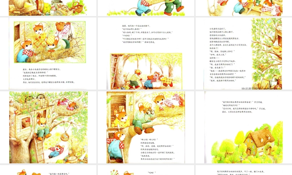 提姆与莎兰的小木屋.ppt