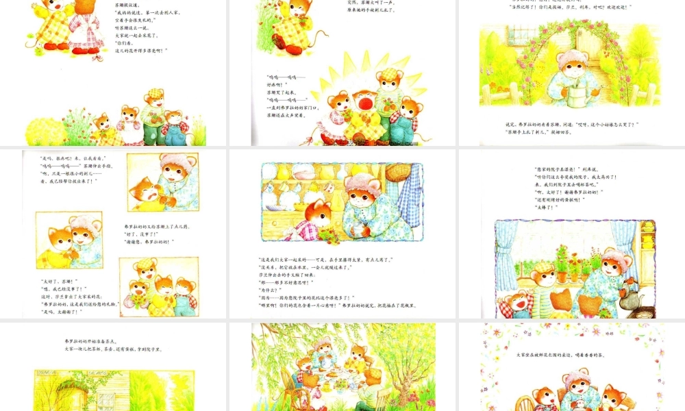 提姆与莎兰的小木屋.ppt