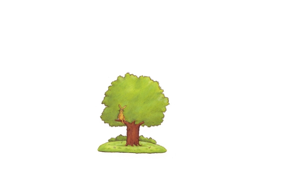 我不知道我是谁.ppt