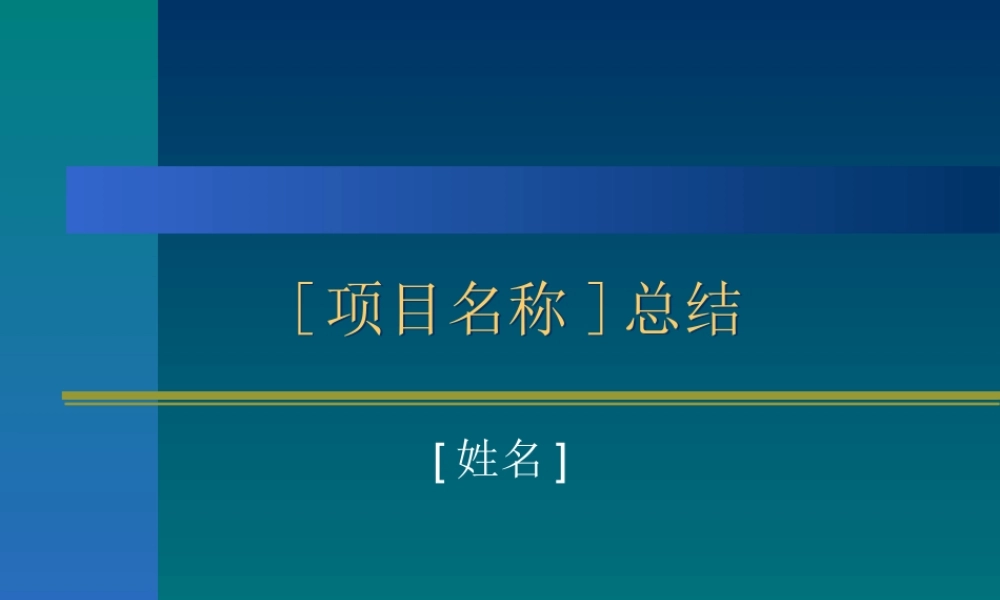 项目总结报告模板(1).ppt