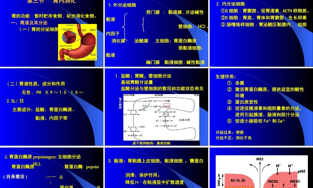 消化和吸收.ppt