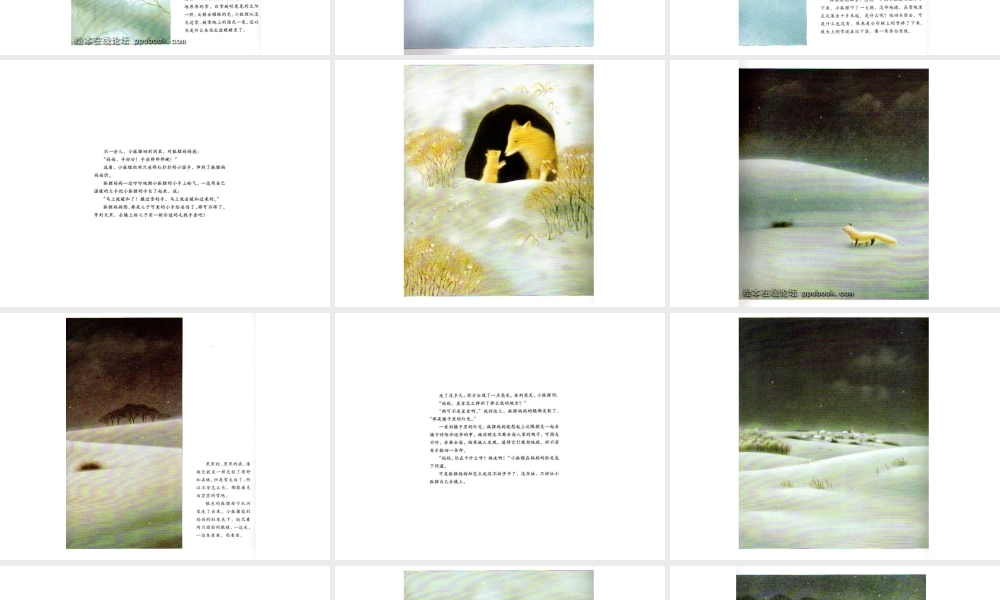 小狐狸买手套.ppt