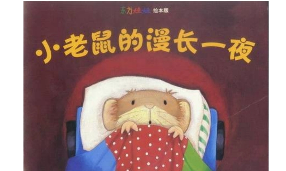 小老鼠的漫长一夜.ppt