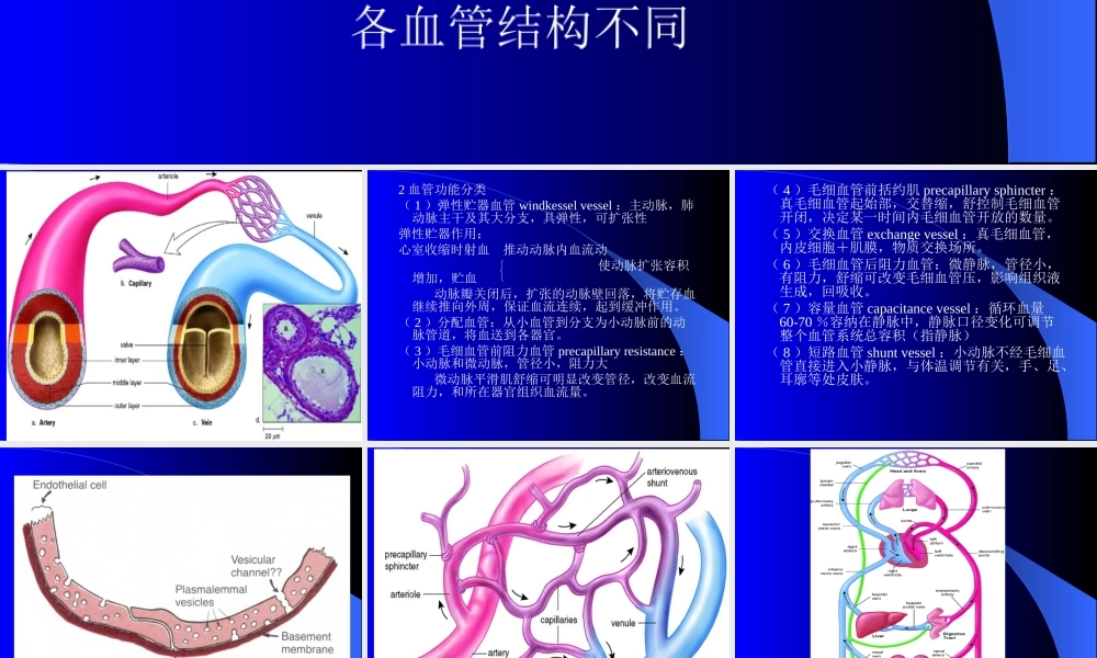循环系统血管生理(1).ppt