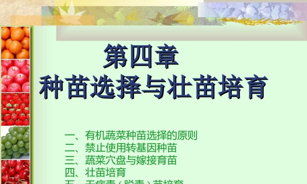 有机蔬菜育苗.ppt