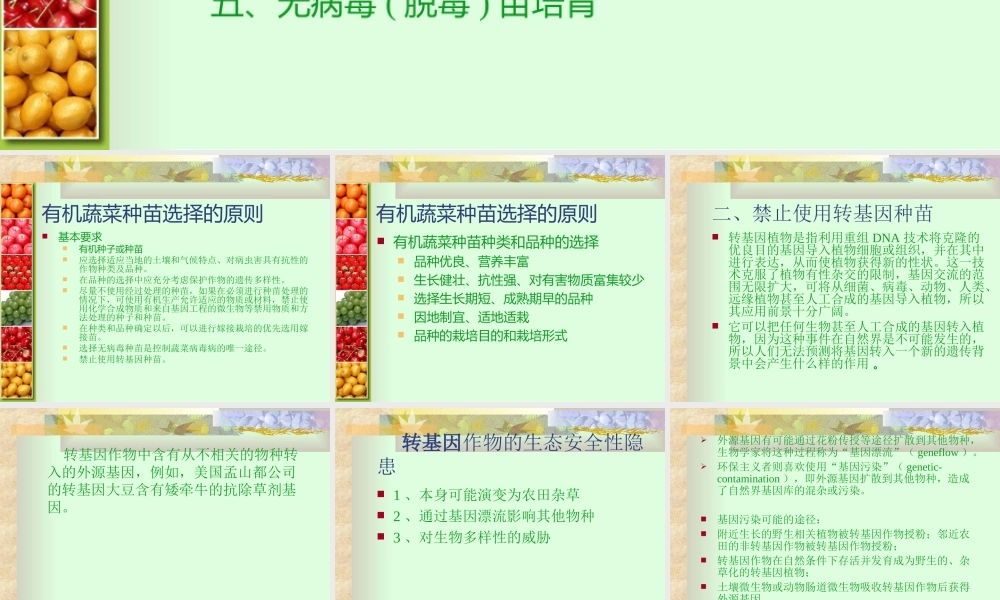 有机蔬菜育苗.ppt