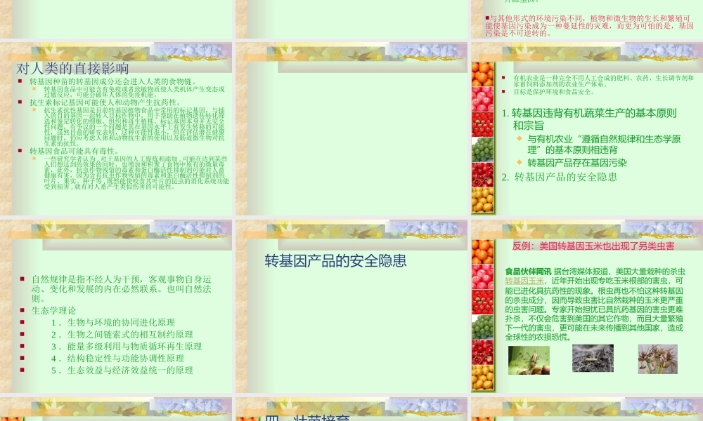 有机蔬菜育苗.ppt