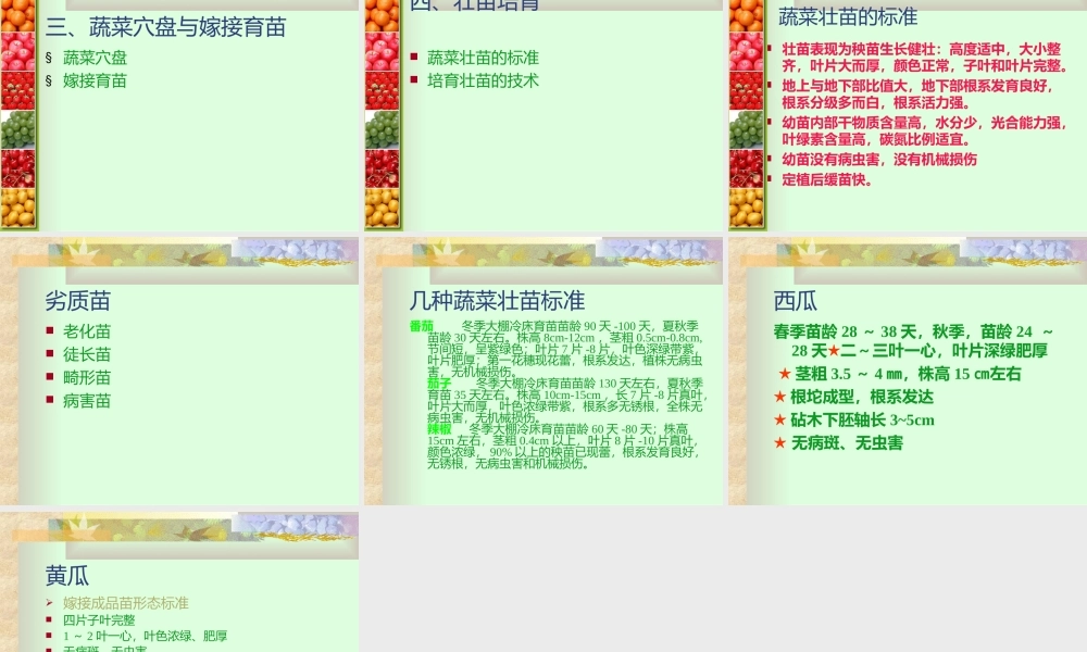 有机蔬菜育苗.ppt