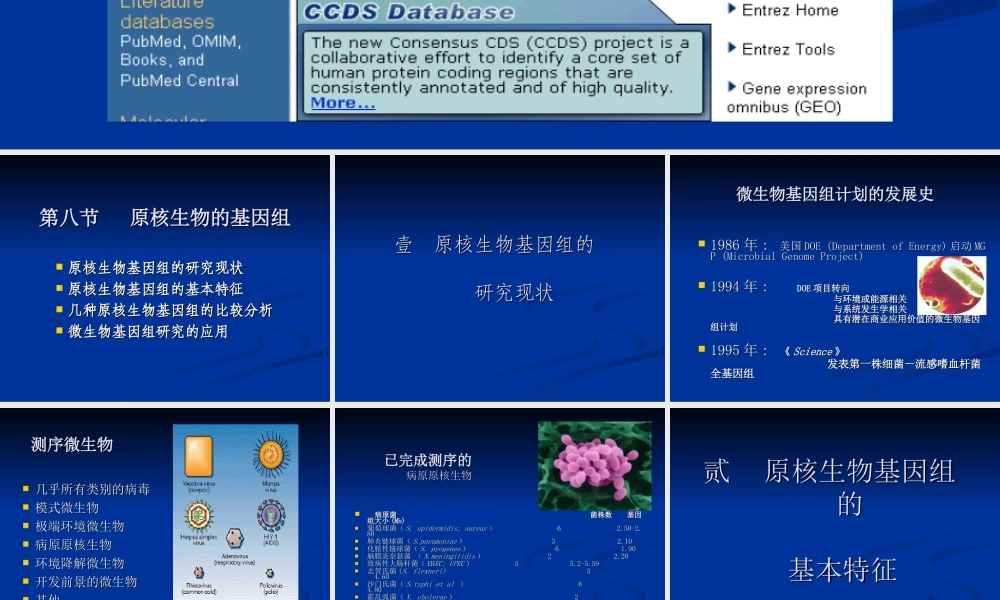 原核生物基因组(1).ppt