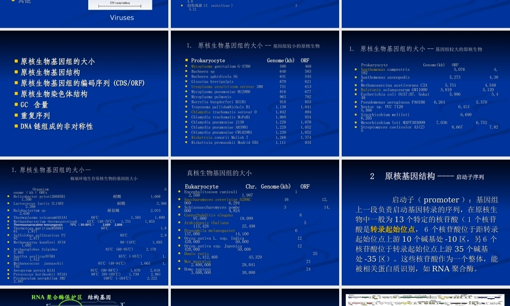 原核生物基因组(1).ppt