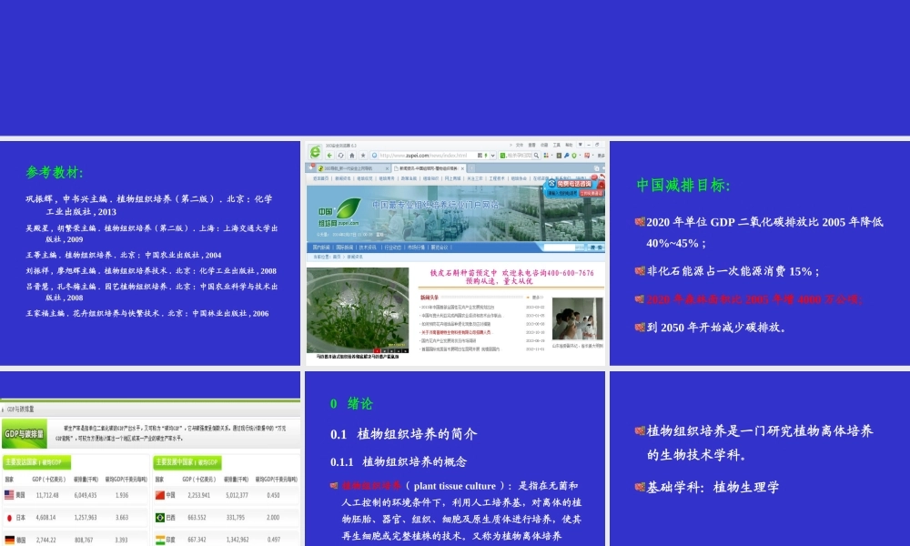 植物组织培养(1)(1).ppt