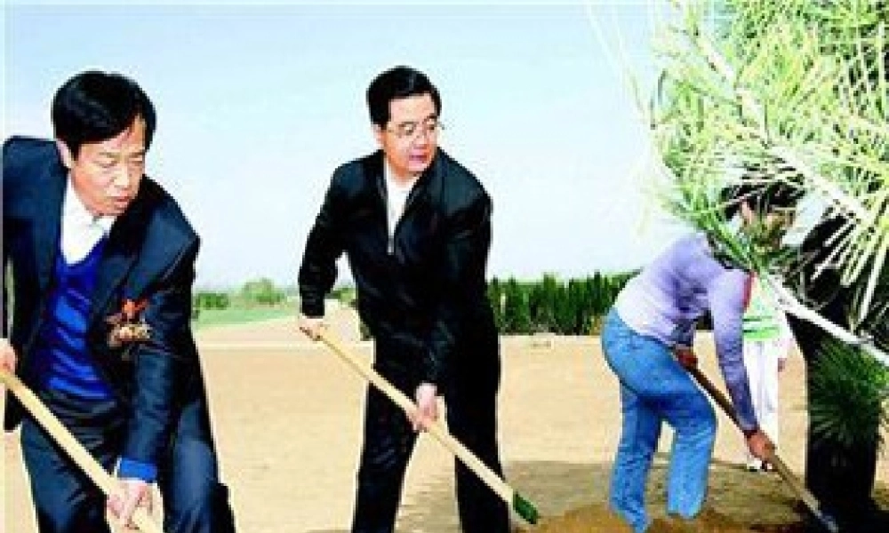 植树问题ppt (1)—更多免费更新课程：ruisi666000.ppt