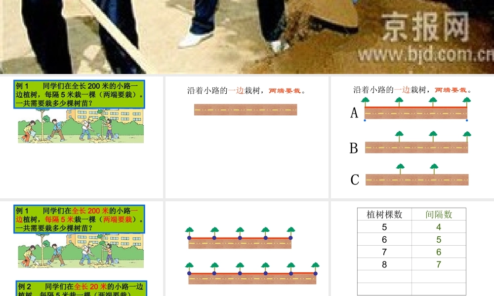 植树问题ppt (1)—更多免费更新课程：ruisi666000.ppt