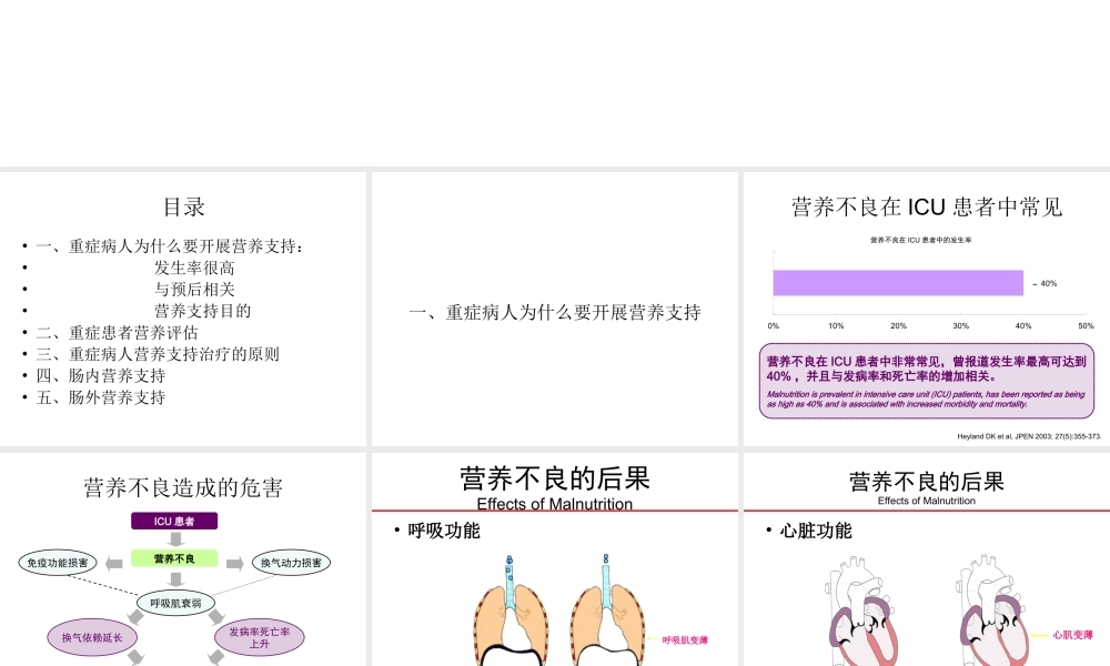 重症患者营养支持.ppt