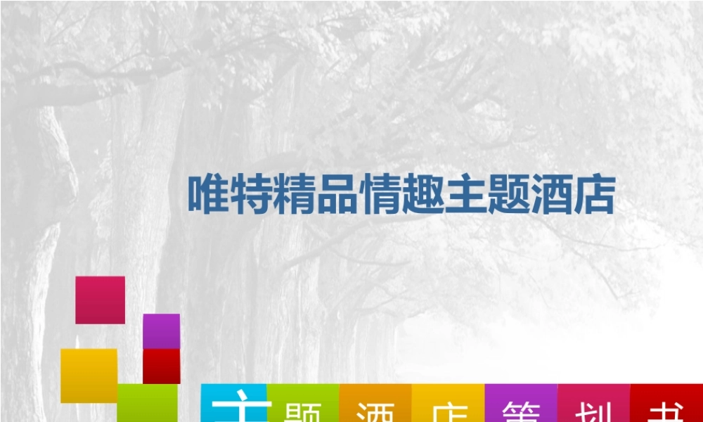 主题酒店策划书.ppt