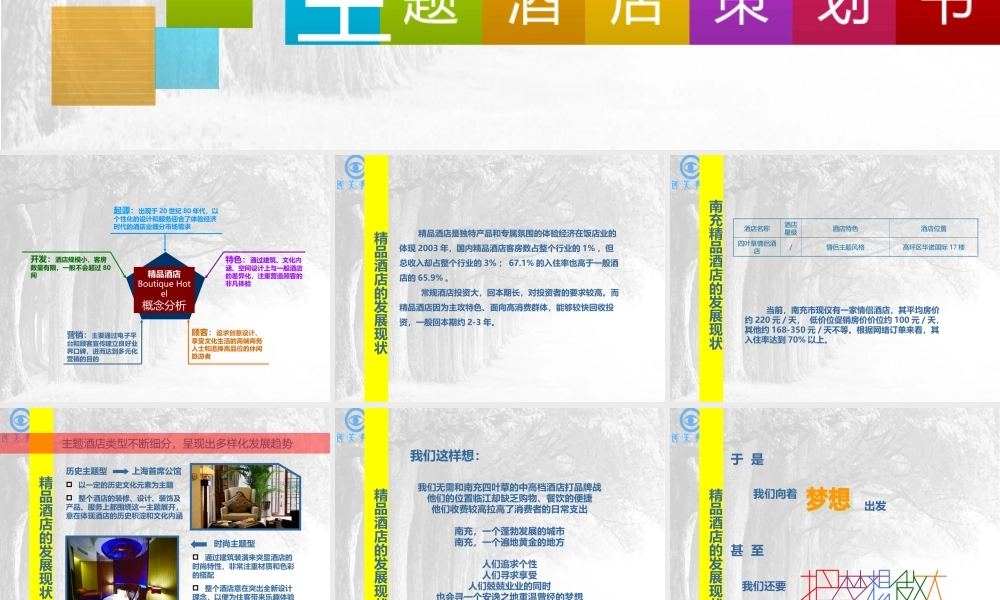 主题酒店策划书.ppt
