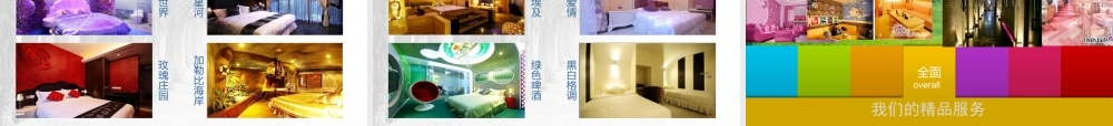 主题酒店策划书.ppt