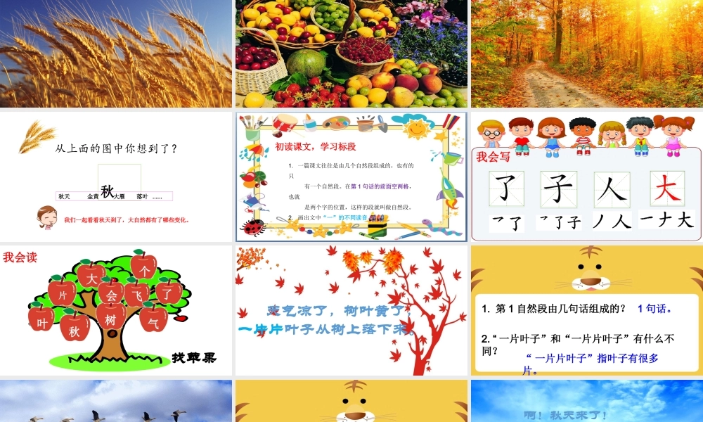 (课堂教学课件1）秋天.ppt